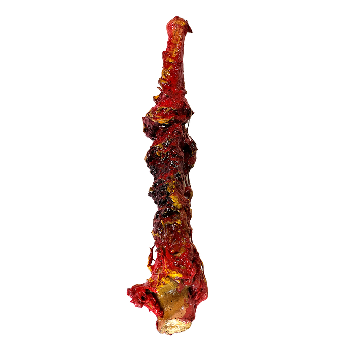 Realistic Ulna Bone Lightweight Rigid Foam - with Light Gore Effects - Prop Money Inc.