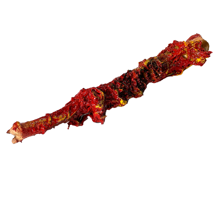 Realistic Ulna Bone Lightweight Rigid Foam - with Light Gore Effects - Prop Money Inc.